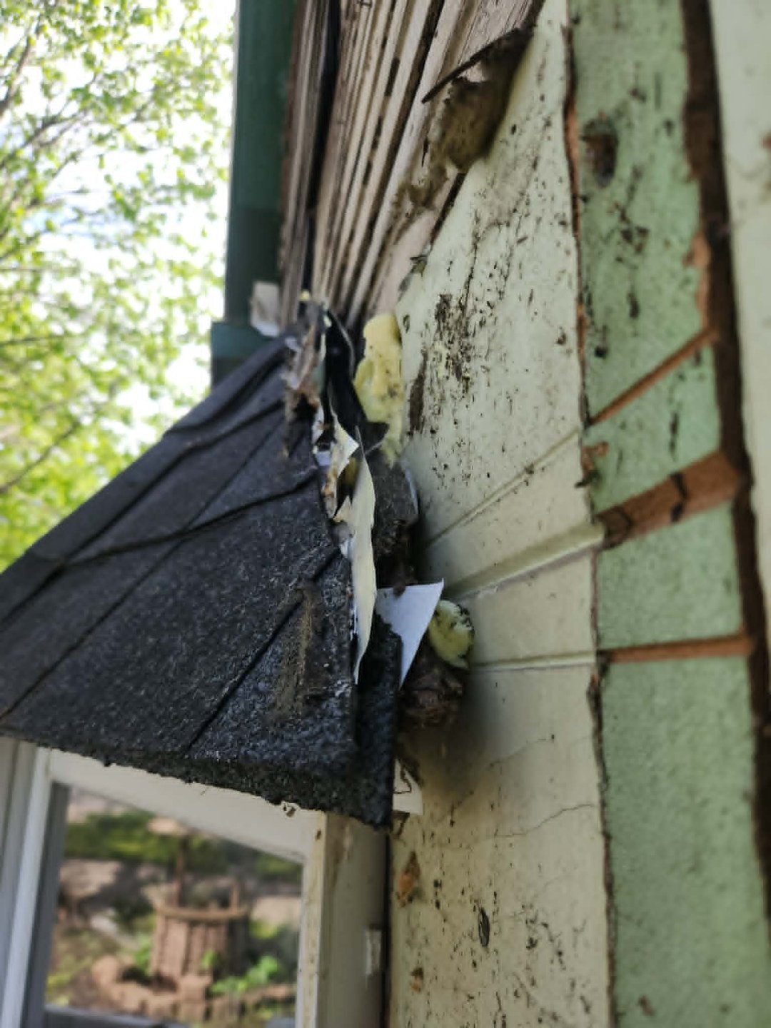 Roof edge and gutter damage